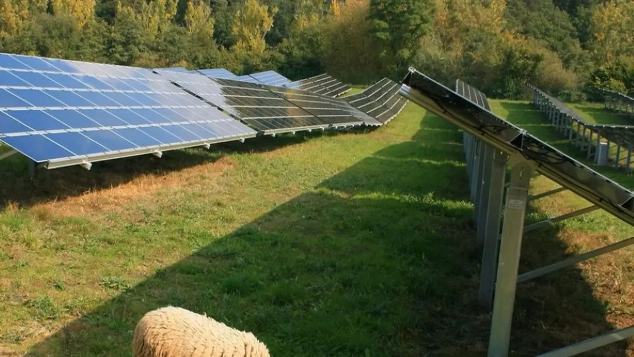 Construction of the Deepwater solar farm by ib vogt GmbH was planned to begin by July 2026, integrating battery storage and Agrivoltaics.