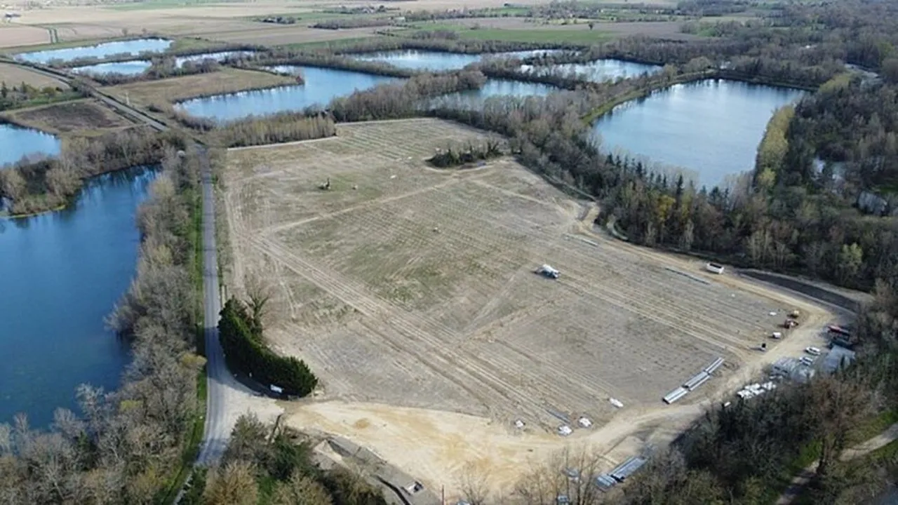 Site planning has included specific actions to support insect, bird, and reptile species in a protected environment. 