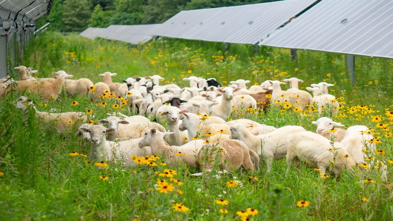 AIP's entry into Silicon Ranch supports its aim to reach 10 GW of operating solar assets by 2030 