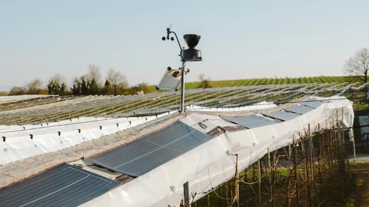 VOEN e-crops project integrated solar modules into cherry nets at the Vöhringer farm without replacing weather protection. 