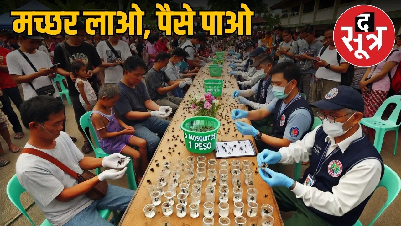 dengue-awareness-mosquito