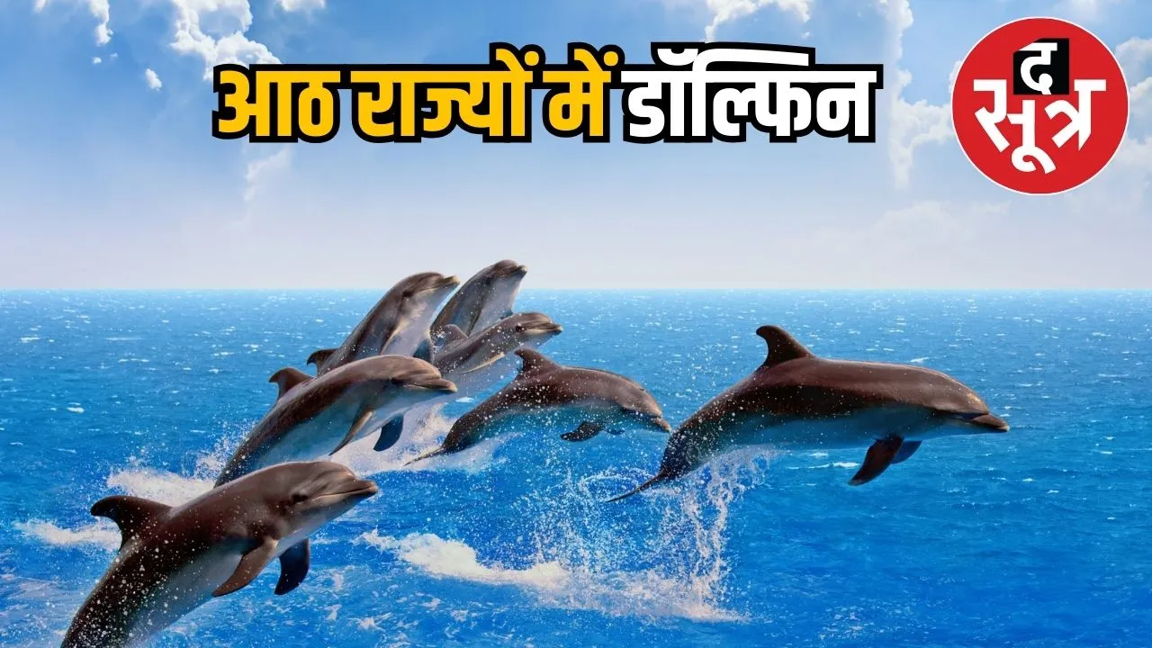 DOLPHINE