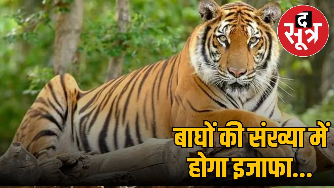 madhav-tiger-reserve