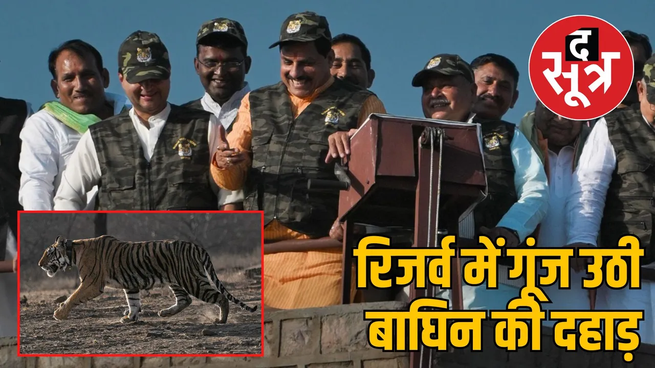 madhav tiger reserve mp shivpuri new tiger release