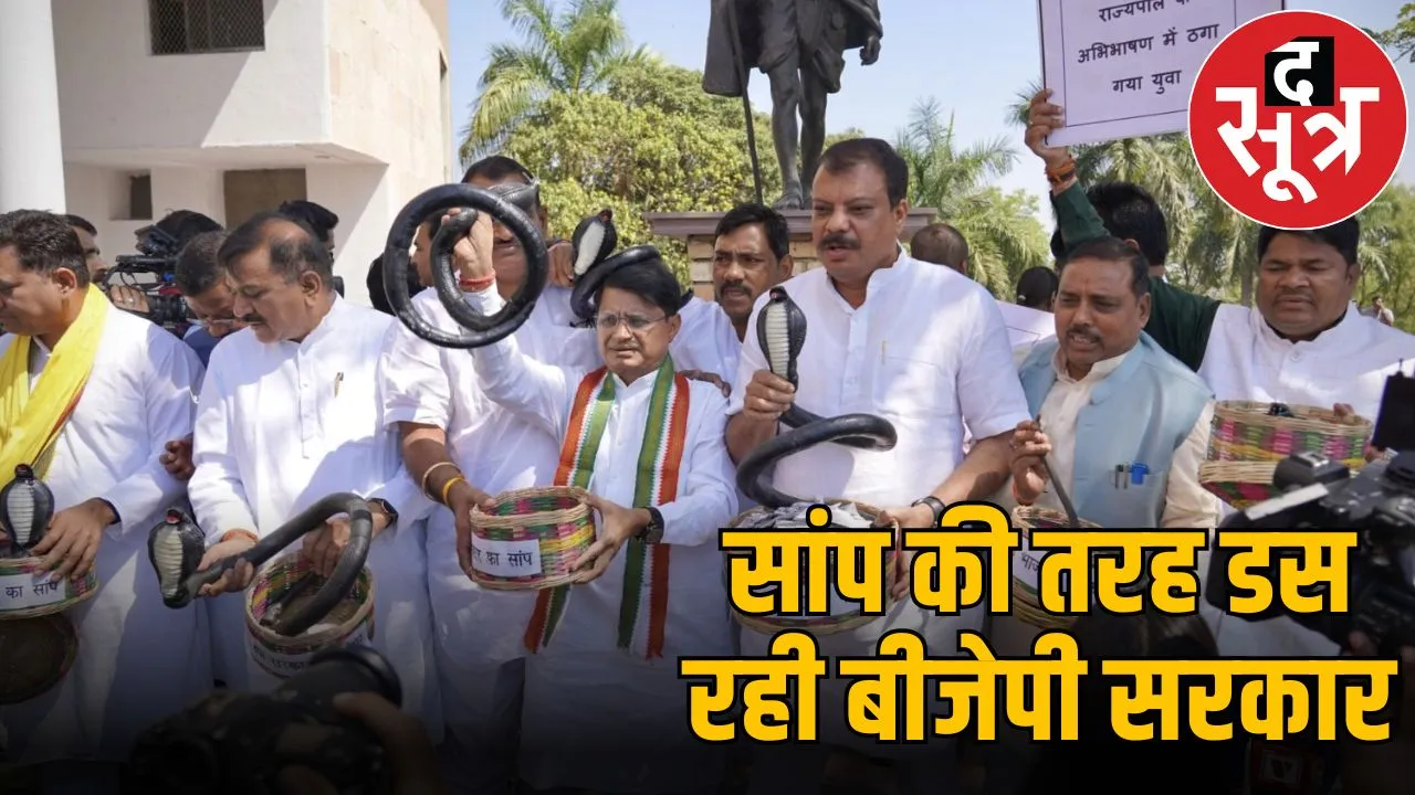 congress snake