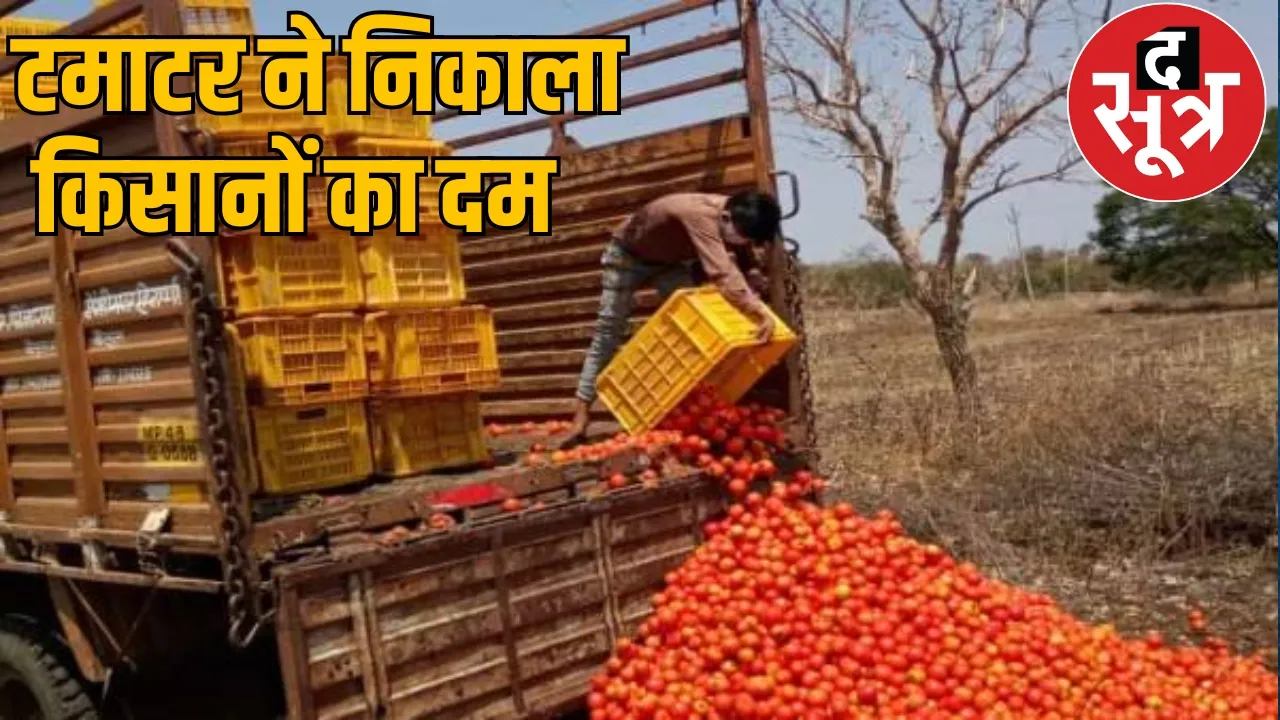 Vishnudev Sai Jashpur area tomato farmers ruined the sootr