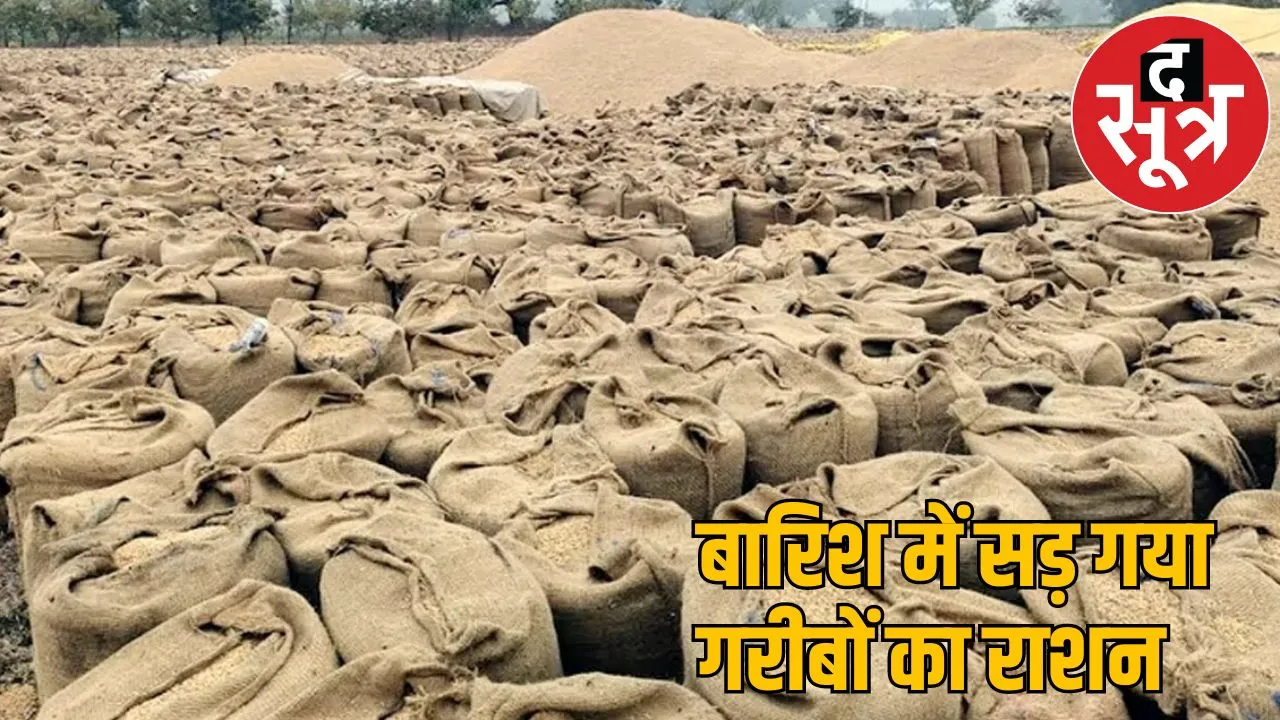 Four lakh quintals of paddy wasted in the rain