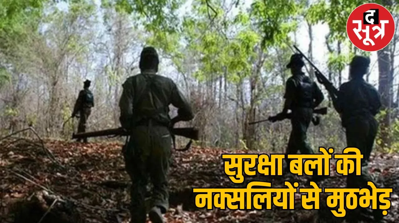 Naxal Encounter : अबूझमाड़ में सुरक्षा बलों ने नक्सलियों को घेरा, महाराष्ट्र की सीमा पर मुठभेड़