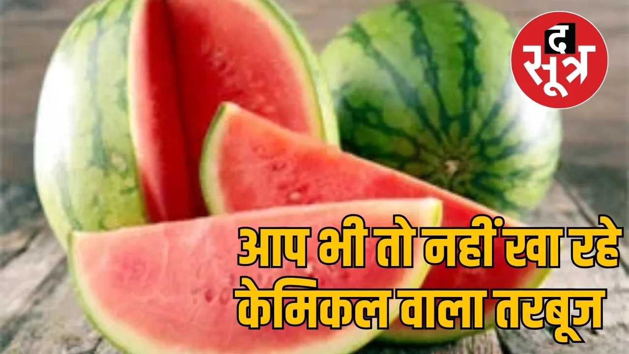 Watermelon Chemicals Diseases Sugar Baby mp news weather summer द सूत्र