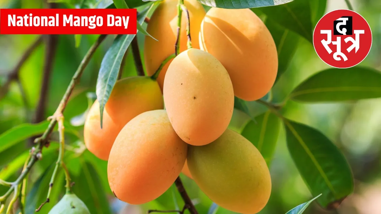 National Mango Day