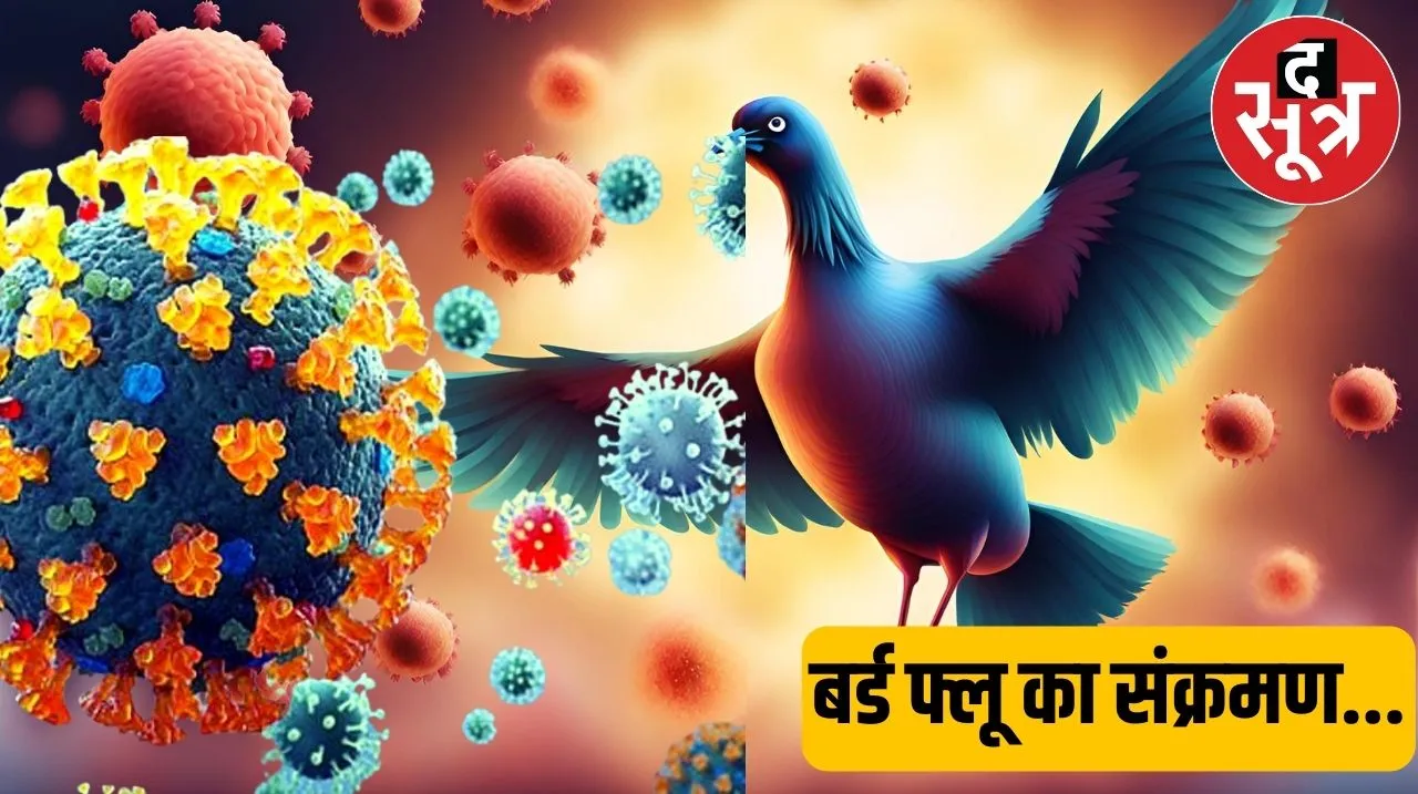 Bird Flu : कोरोना से ज्यादा घातक है H5N1 वायरस, एक्सपर्ट्स ने वायरस को लेकर जताई चिंता