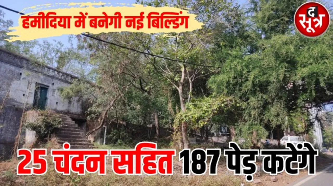 हमीदिया में काटेंगे 187 हरे पेड़, इनमें चंदन के पेड़ भी शामिल, बन रही मर्चुरी, बंकर और रेस्पिरेट्री एक्सीलेंस सेंटर की बिल्डिंग्स