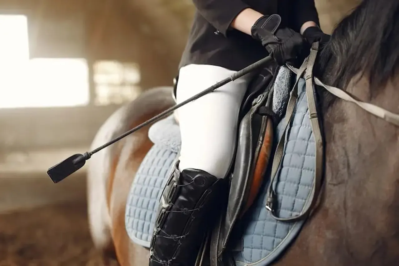 What's Involved in Preparing a Horse for a Race? | Sportz Point