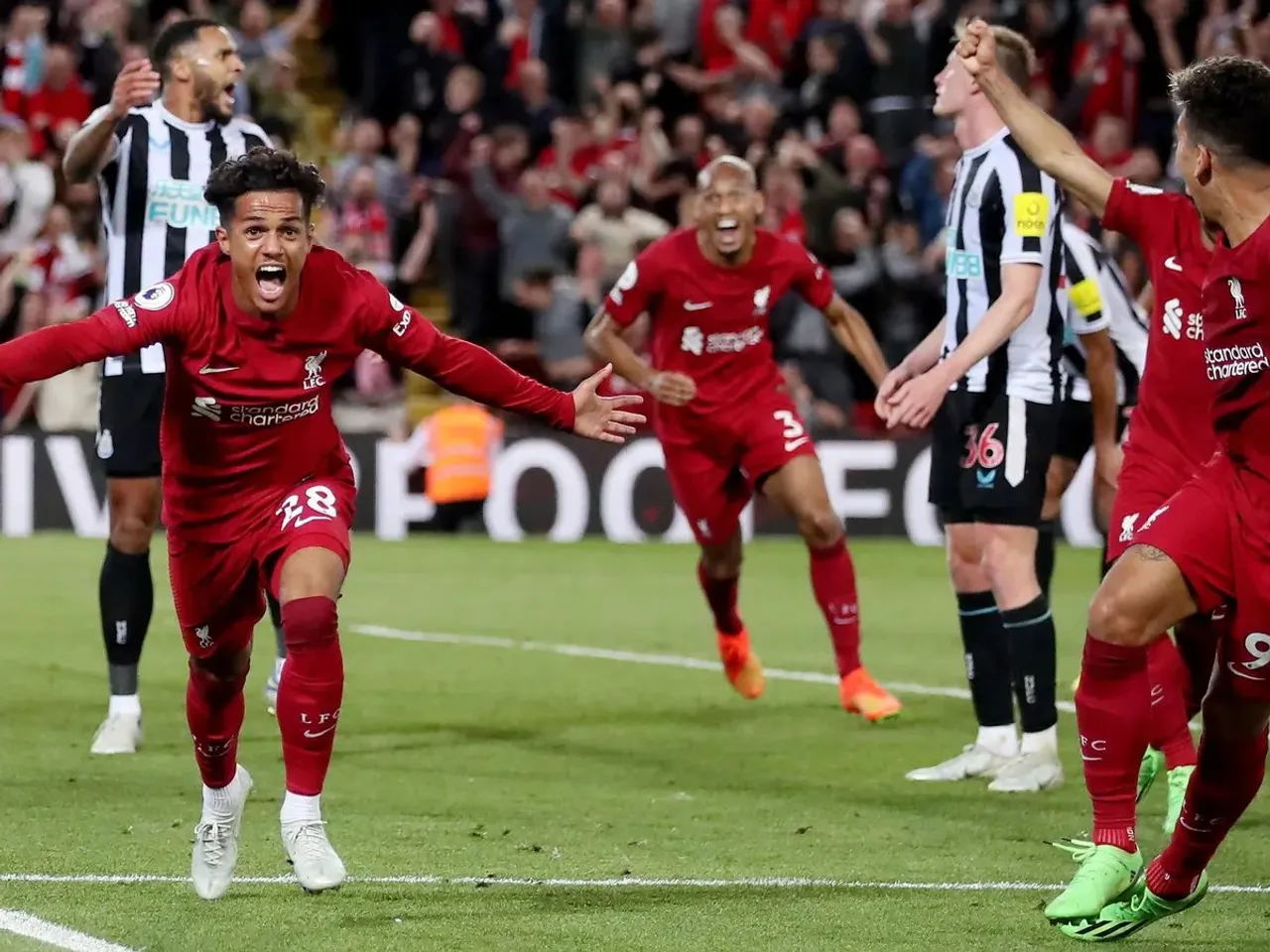 Newcastle United vs Liverpool | Fabio Carvalho | Sportz Point