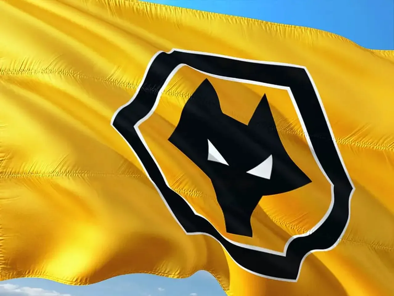 Wolves: 4 Statistics That Should Worry Wanderers Fans in 2023 | Sportz Point