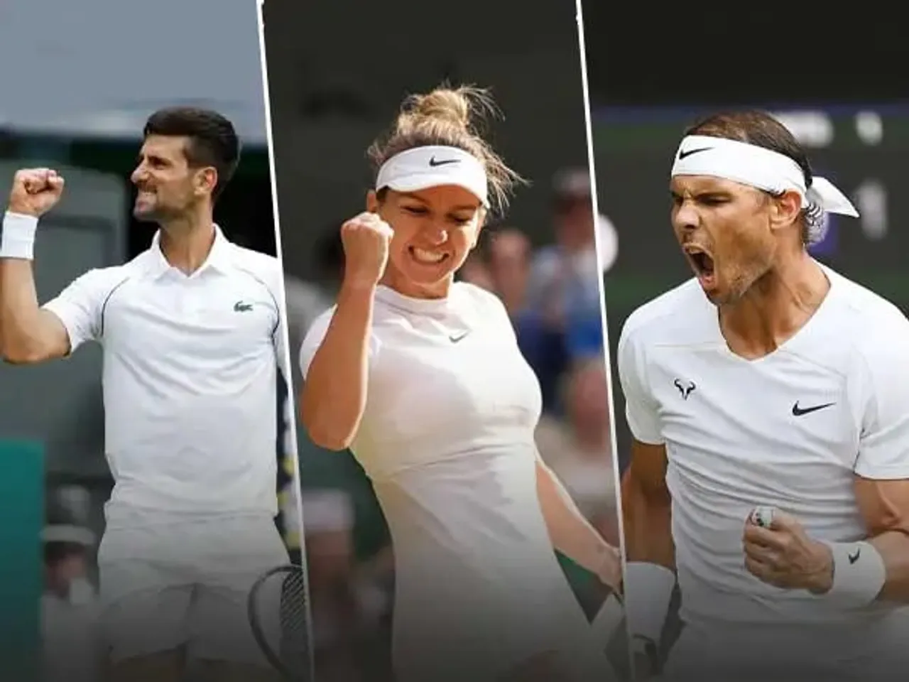 Wimbledon 2022 Semifinal fixture and schedule of men's and women's singles