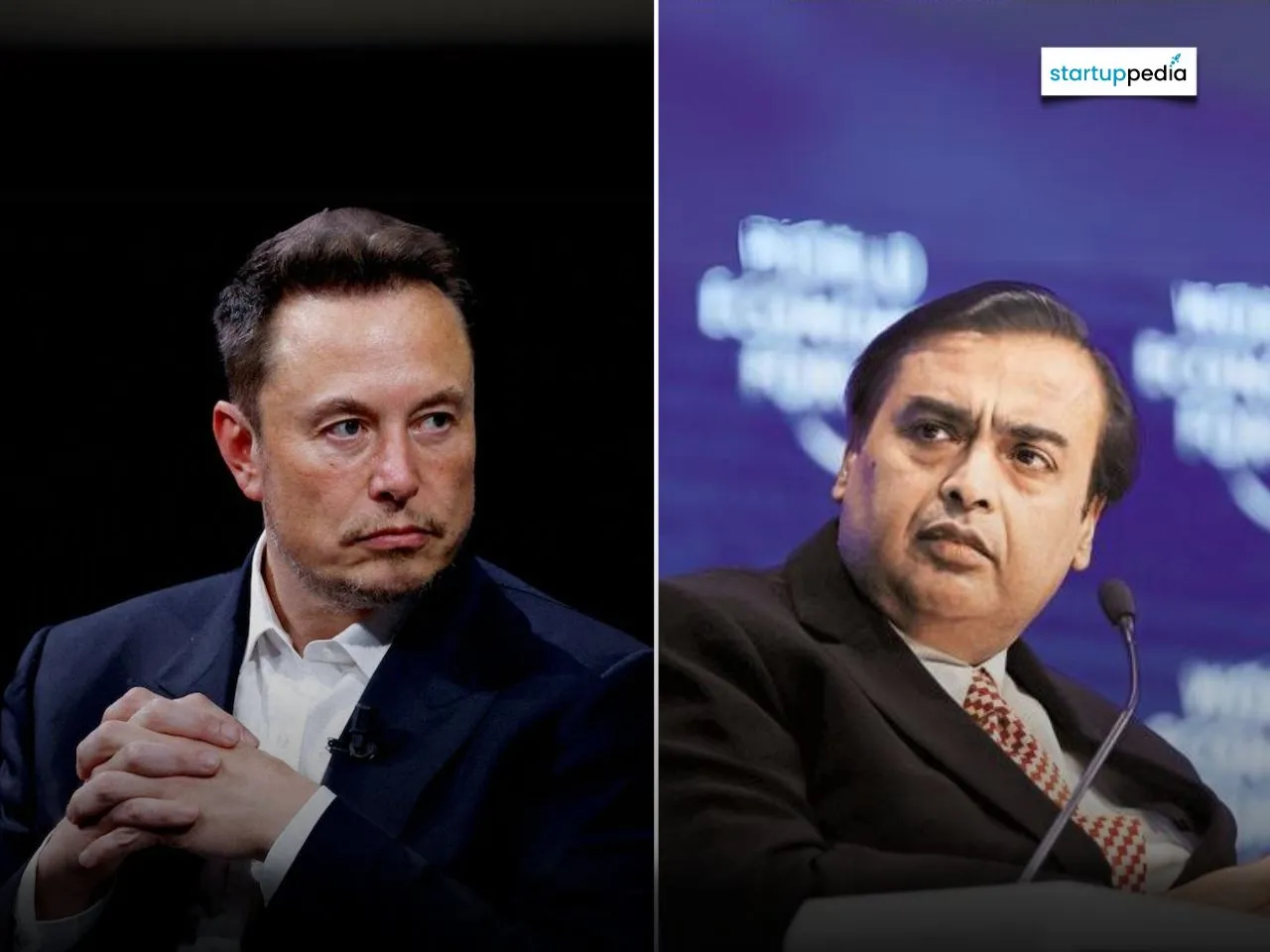 elon