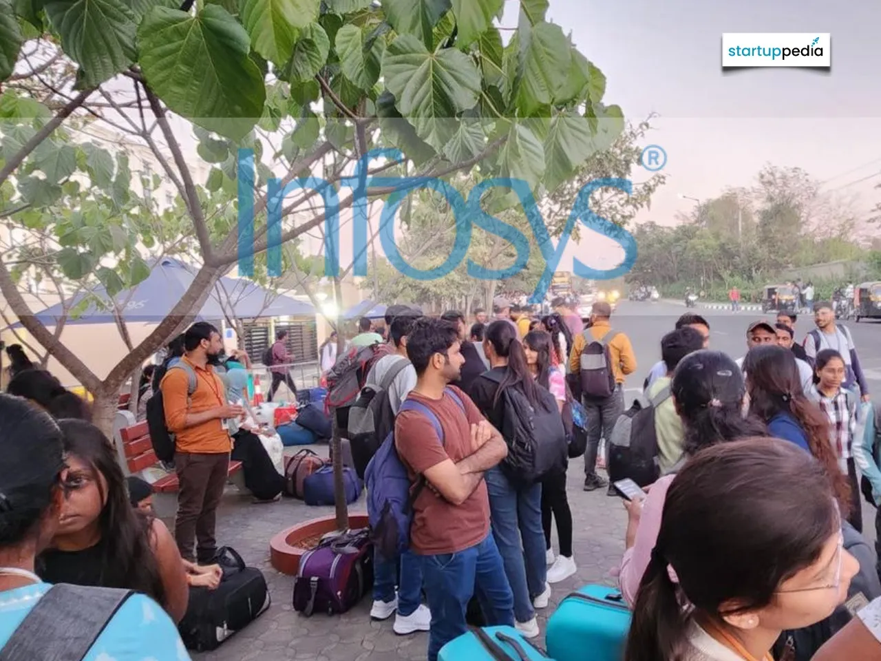 Infosys layoffs