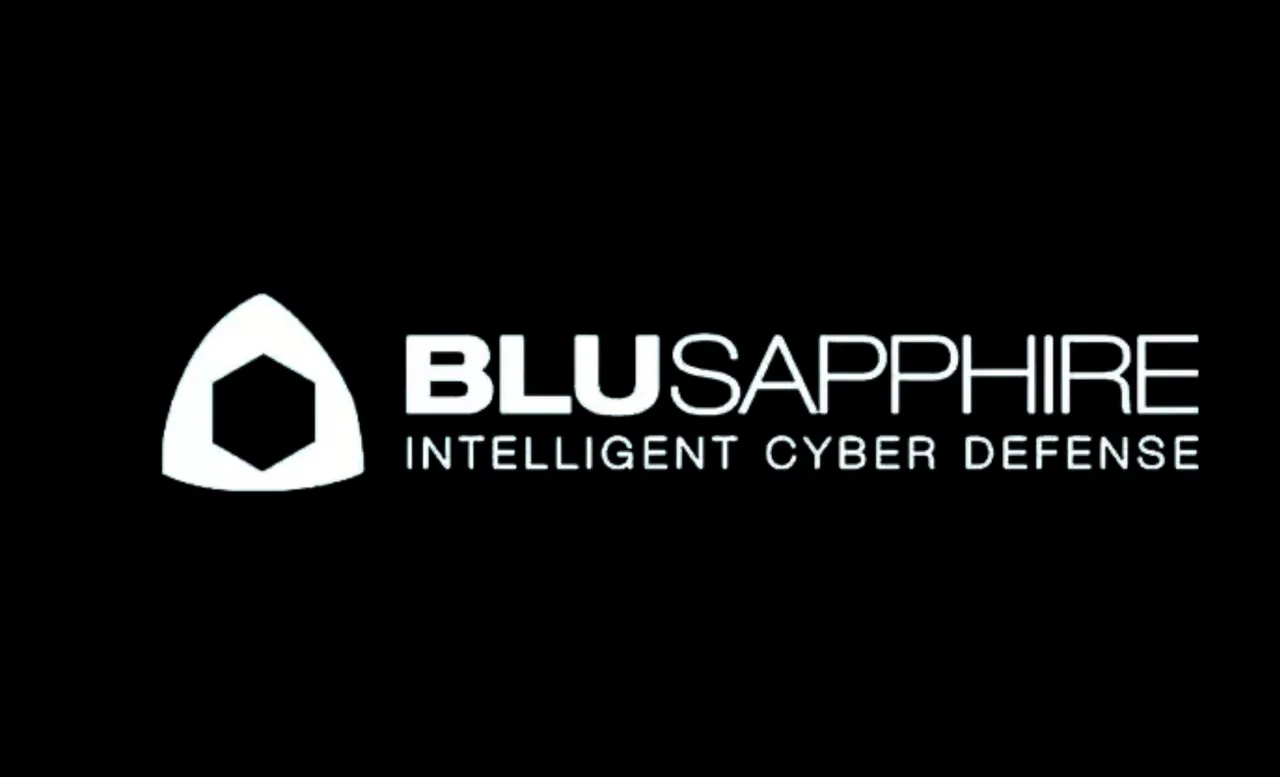 BluSapphire Raises $9.2mn in Series A Funding Led by Barings PE India, Dallas Venture Capital