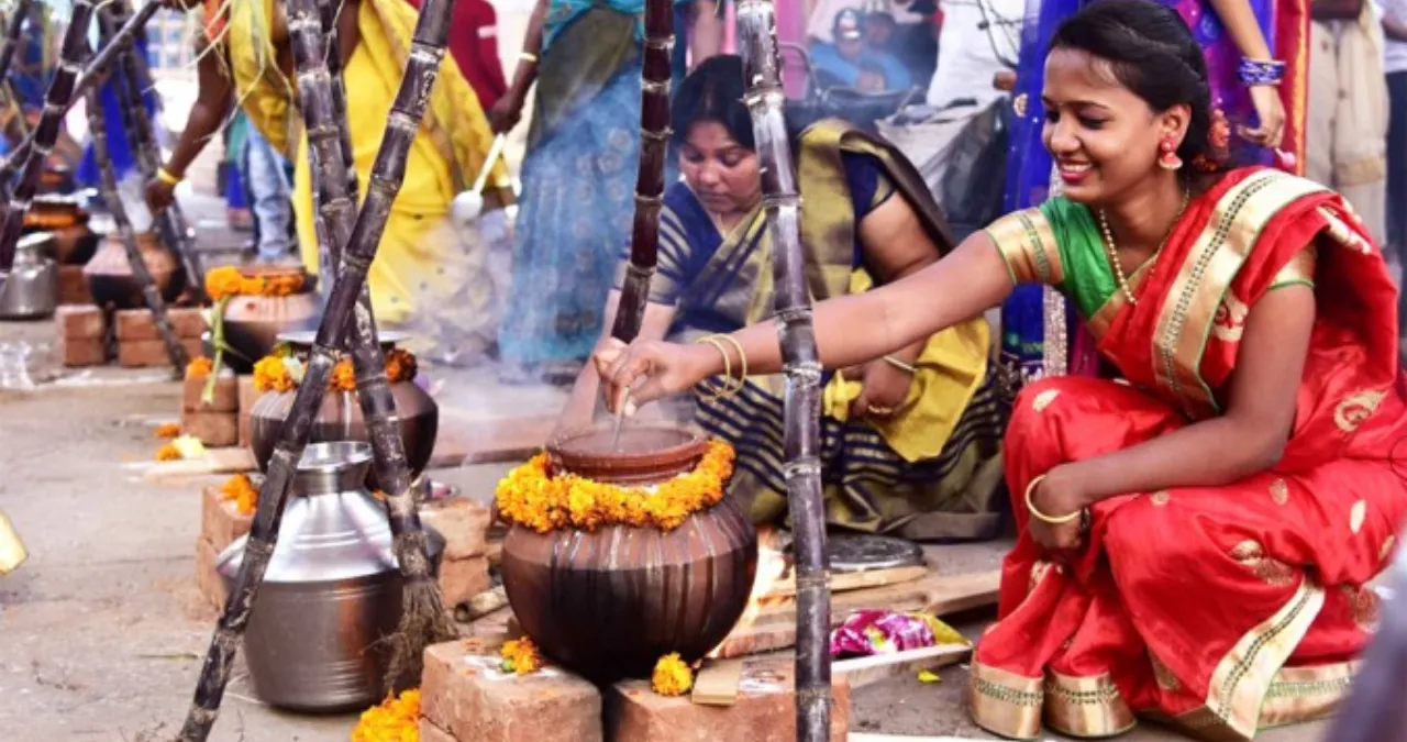 Pongal festival