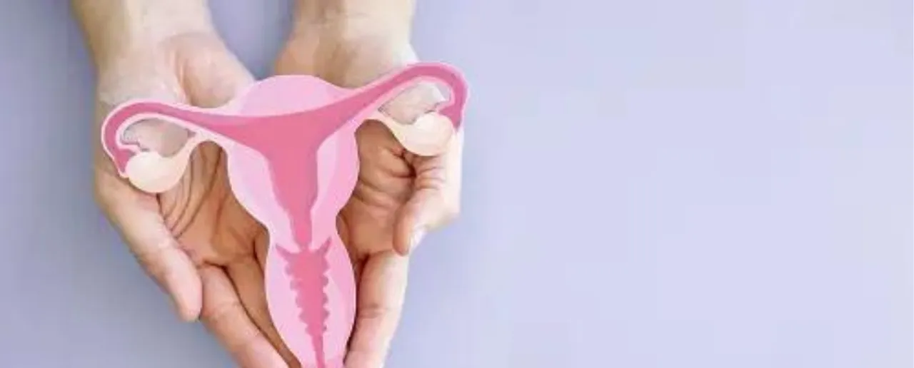 Uterus health 