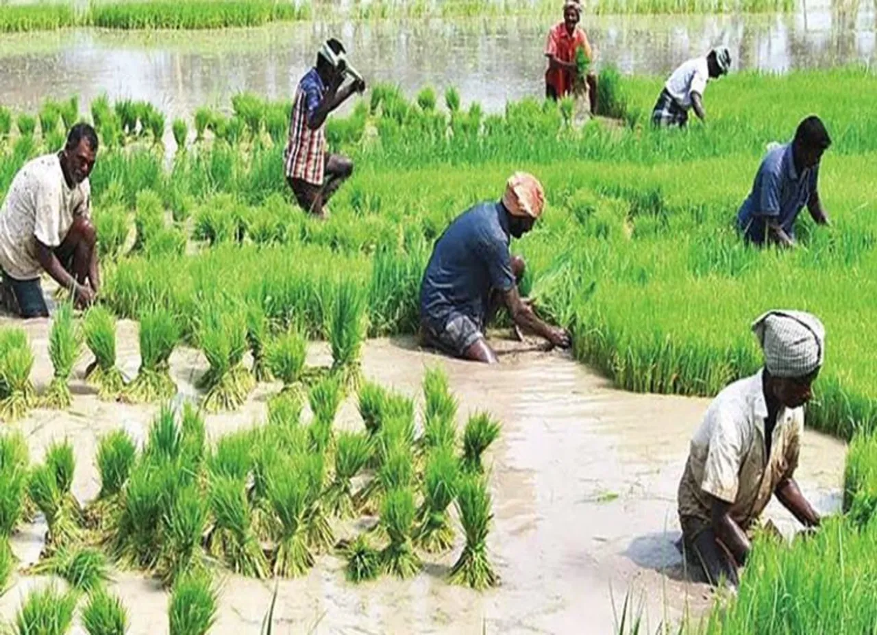 சம்பா நெல் சாகுபடி: குறித்த காலத்தில் மேட்டூர் அணையை திறக்க வேண்டும்! - ராமதாஸ்