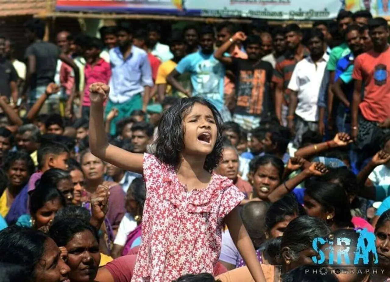 jallikattu protest