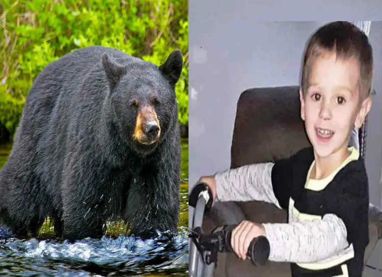 bear protects 3 year old boy, கரடி