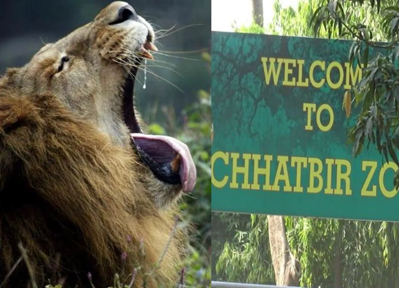 Mahendra Chaudhary Zoological Park