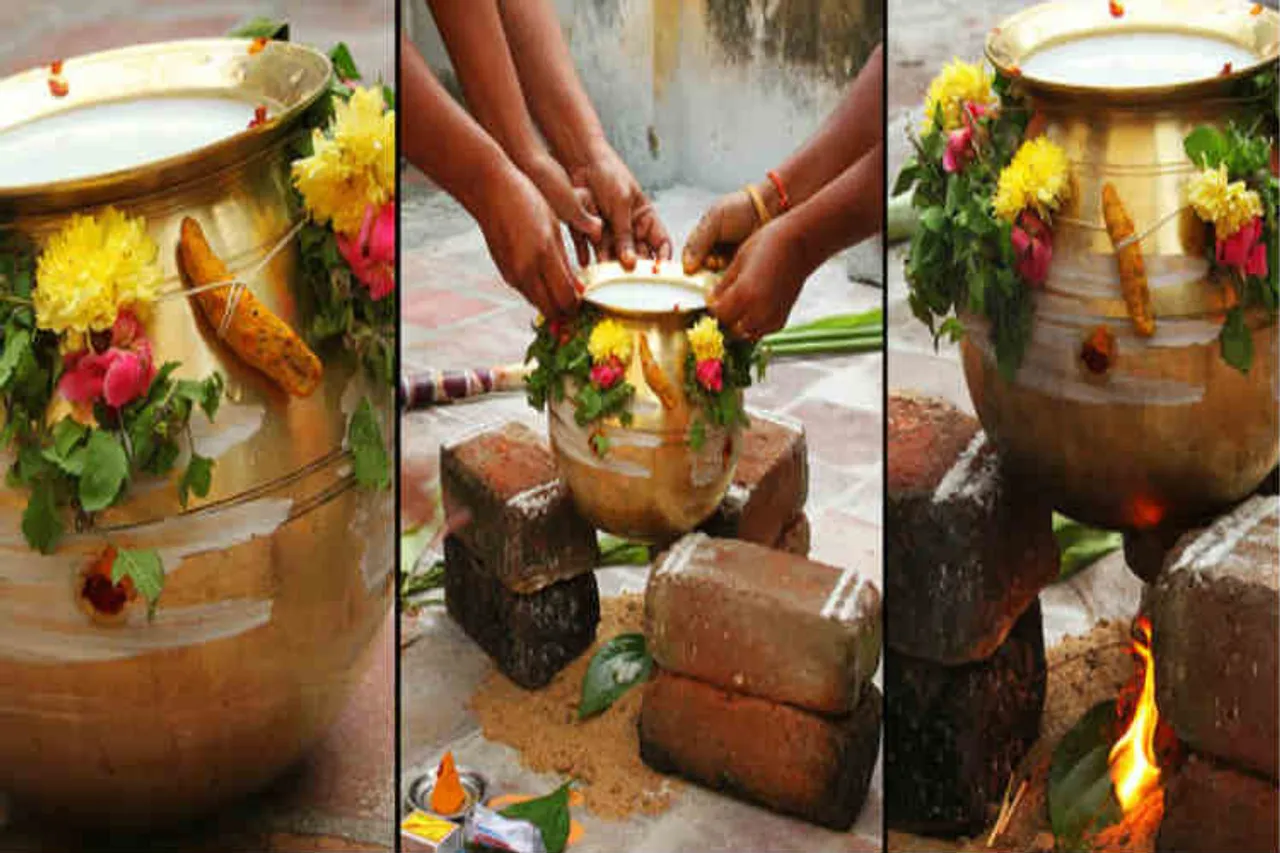 Check how chennai celebrates pongal