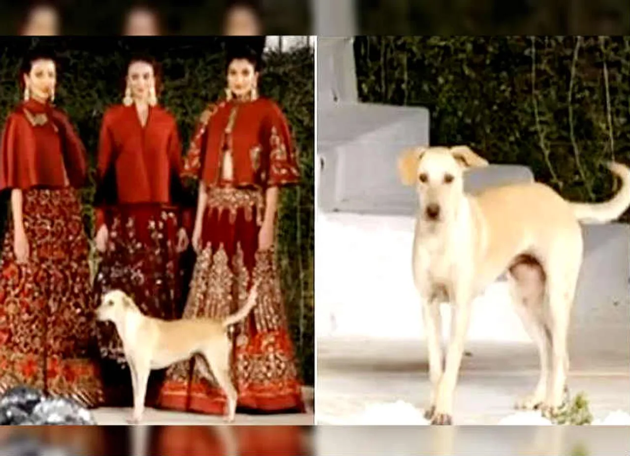 viral video - mumbai fashion show, பேஷன் ஷோ