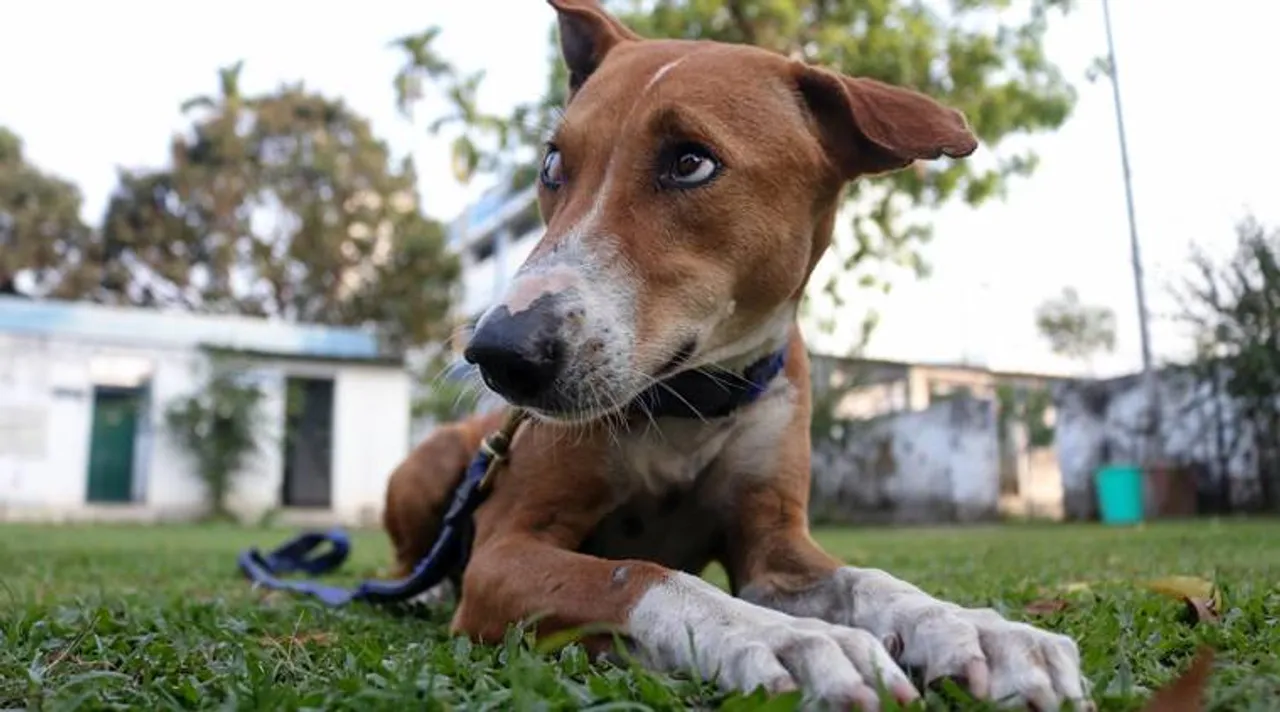 Asha, first indian breed to join the police dept