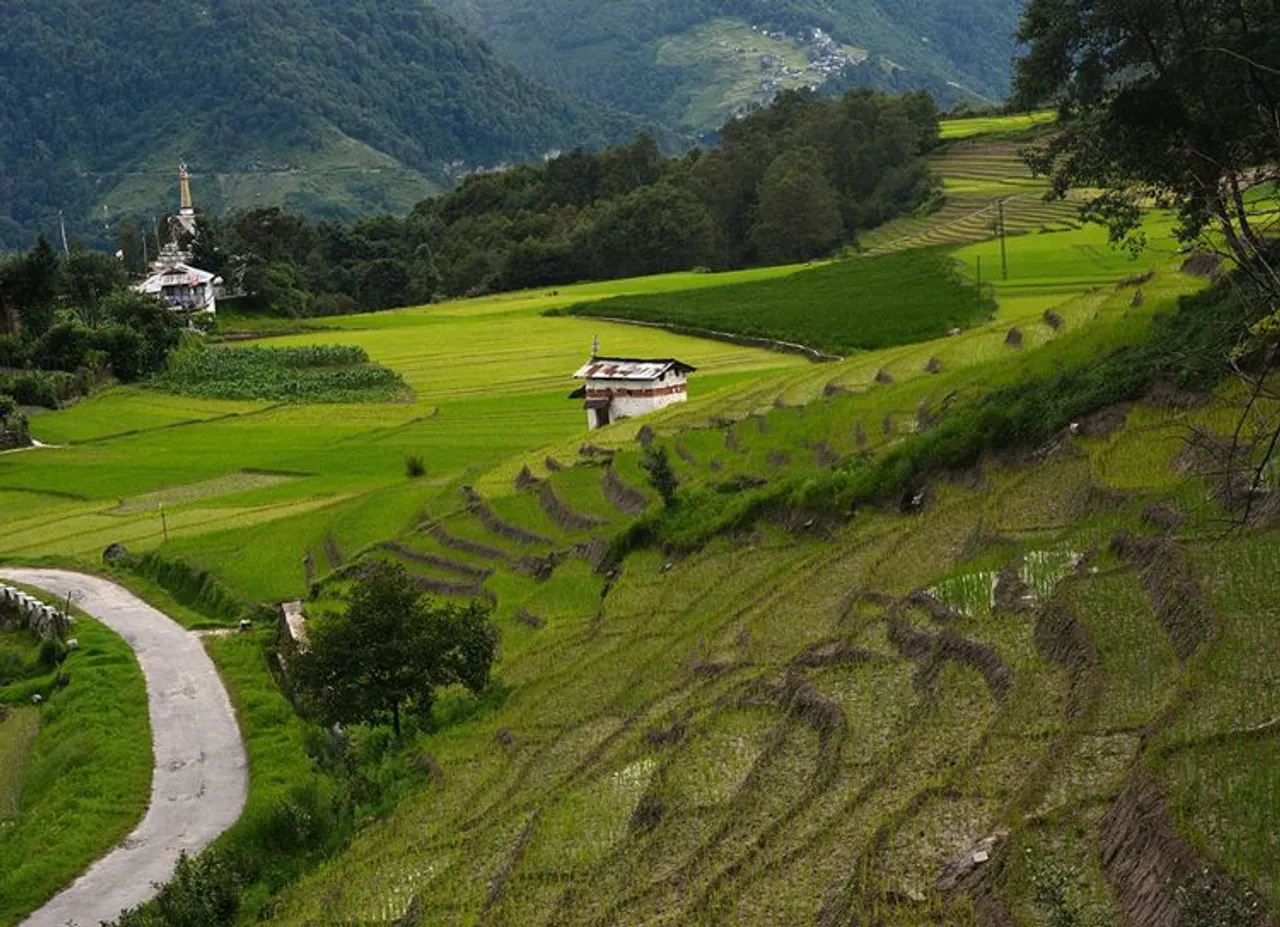 Summer Trip 2019 - Ziro