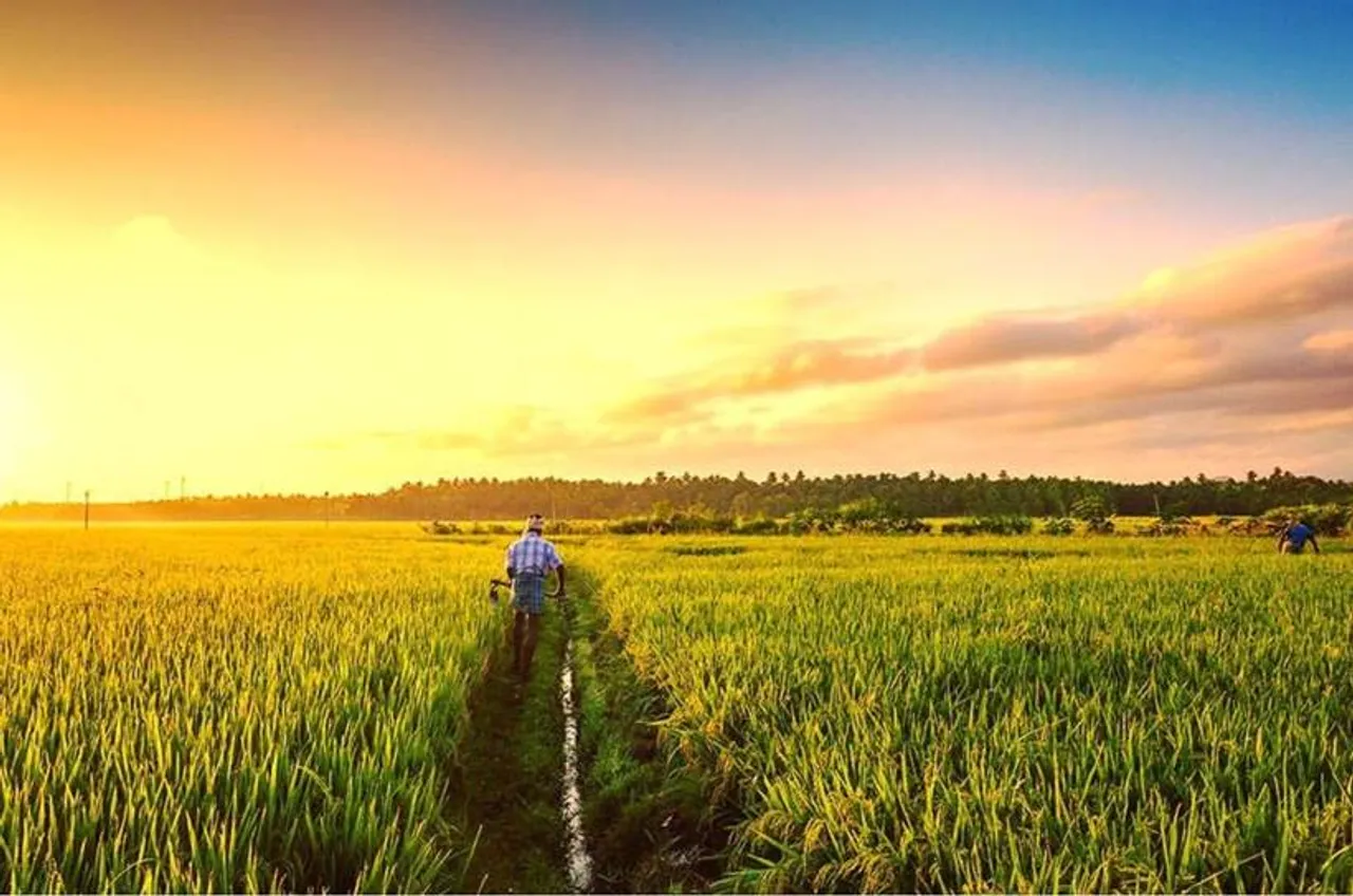 Tenkasi, Delta