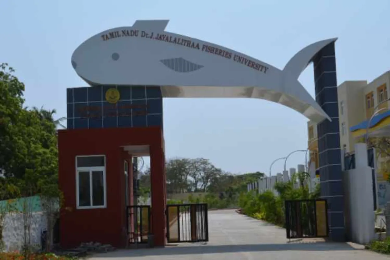 fisheries university, recruitment, engineering, graduates, diploma, மீன்வள பல்கலைக்கழகம், பணிவாய்ப்பு, இஞ்ஜினியரிங், பட்டதாரிகள், டிப்ளமோ