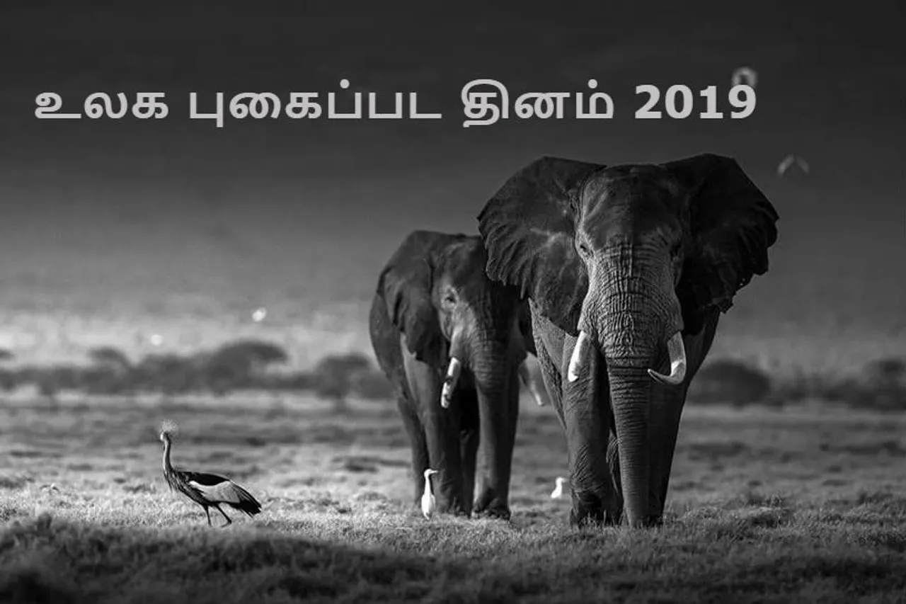 World photography day 2019, Famous wildlife photographers from Tamil Nadu
