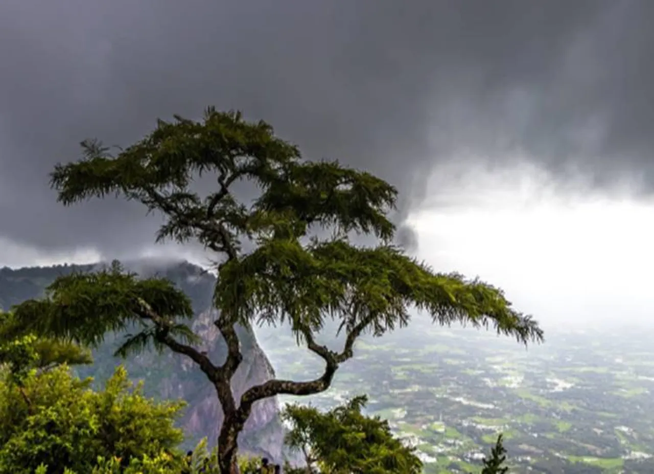 nelliyampathy hills palakkad tourist place - நெல்லியம்பதியை சுற்றிப் பார்க்கலாம் வாருங்கள்