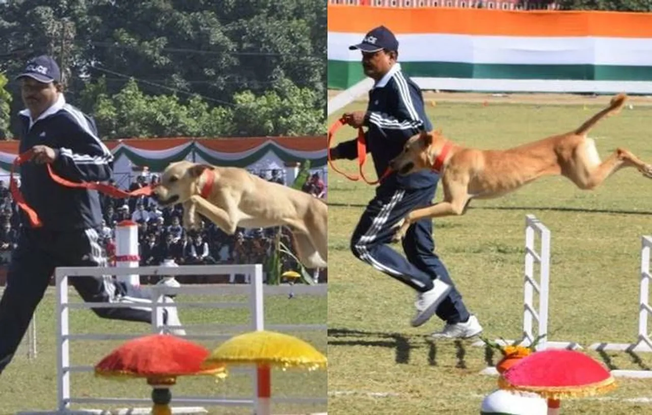 Uttarakhand Police trains stray dog