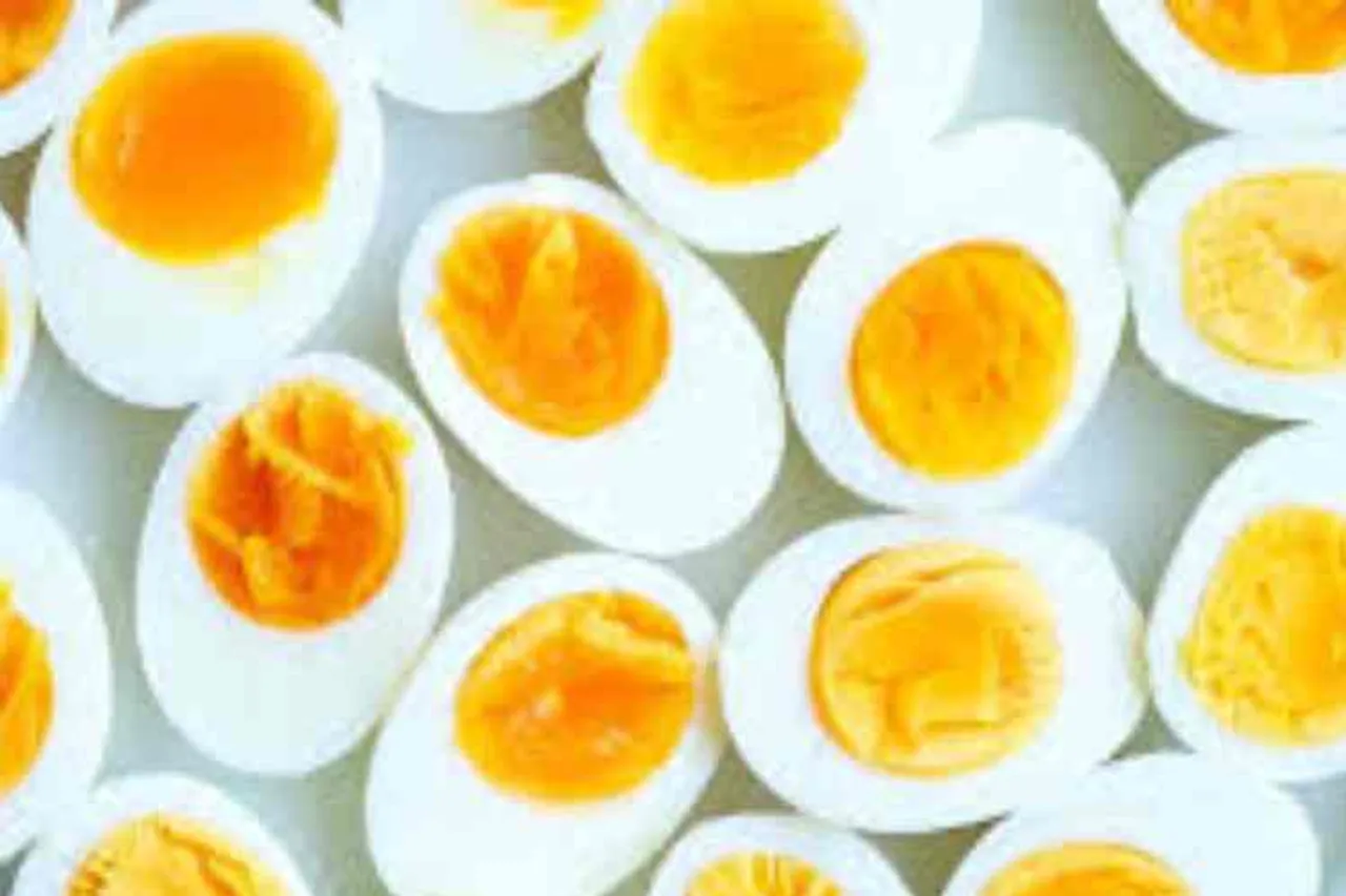 eggs eating bet, man eats 41 egg, man death while eating 42nd egg, Jaunpur Uttar Pradesh,Jaunpur,Uttar Pradesh,UP Man Eats 41 Eggs,Eggs eating,Jaunpur district, முட்டை சாப்பிடும் பந்தயம், 50 முட்டை சாப்பிட்டால் ரூ.2000, 42வது முட்டை சாப்பிடும்போது பலி, உத்தரப் பிரதேசம், Jaunpur News,Jaunpura,Uttar Prades News,man dead,eating,dies,Bet With Friend,viral news, Tamil Indian express