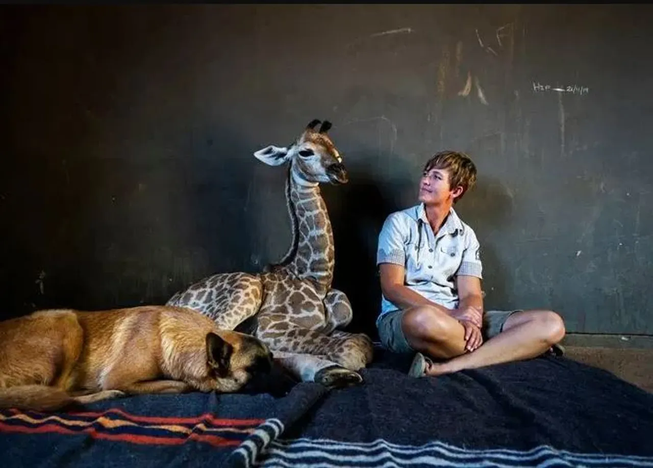 Dog befriends orphan baby giraffe in South Africa