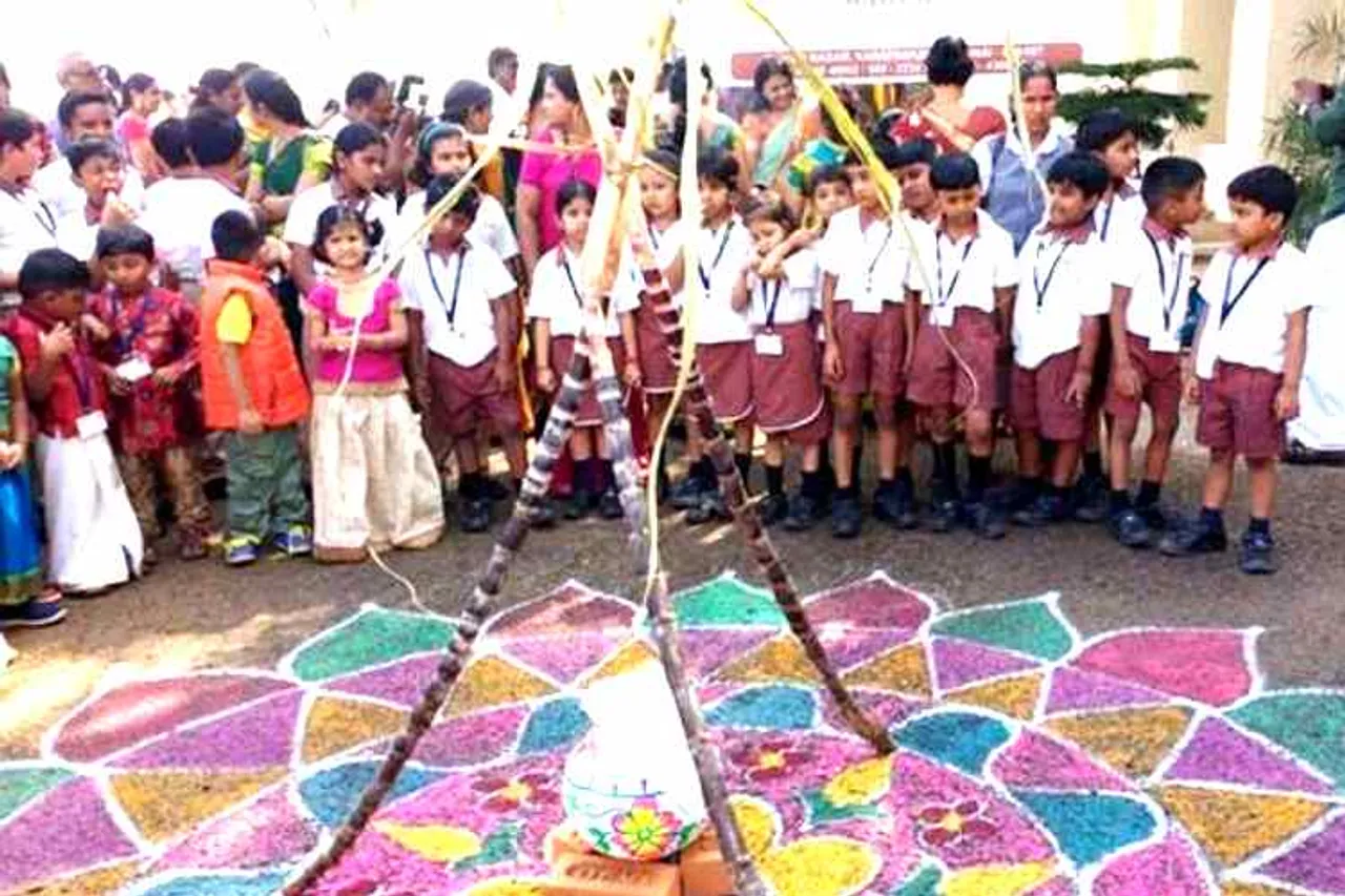 pongal celebrations, pongal article, பொங்கல், பள்ளிகளில் பொங்கல் கொண்டாட்டம், religious departure in pongal celebrations in schools, pongal celebrations in schools