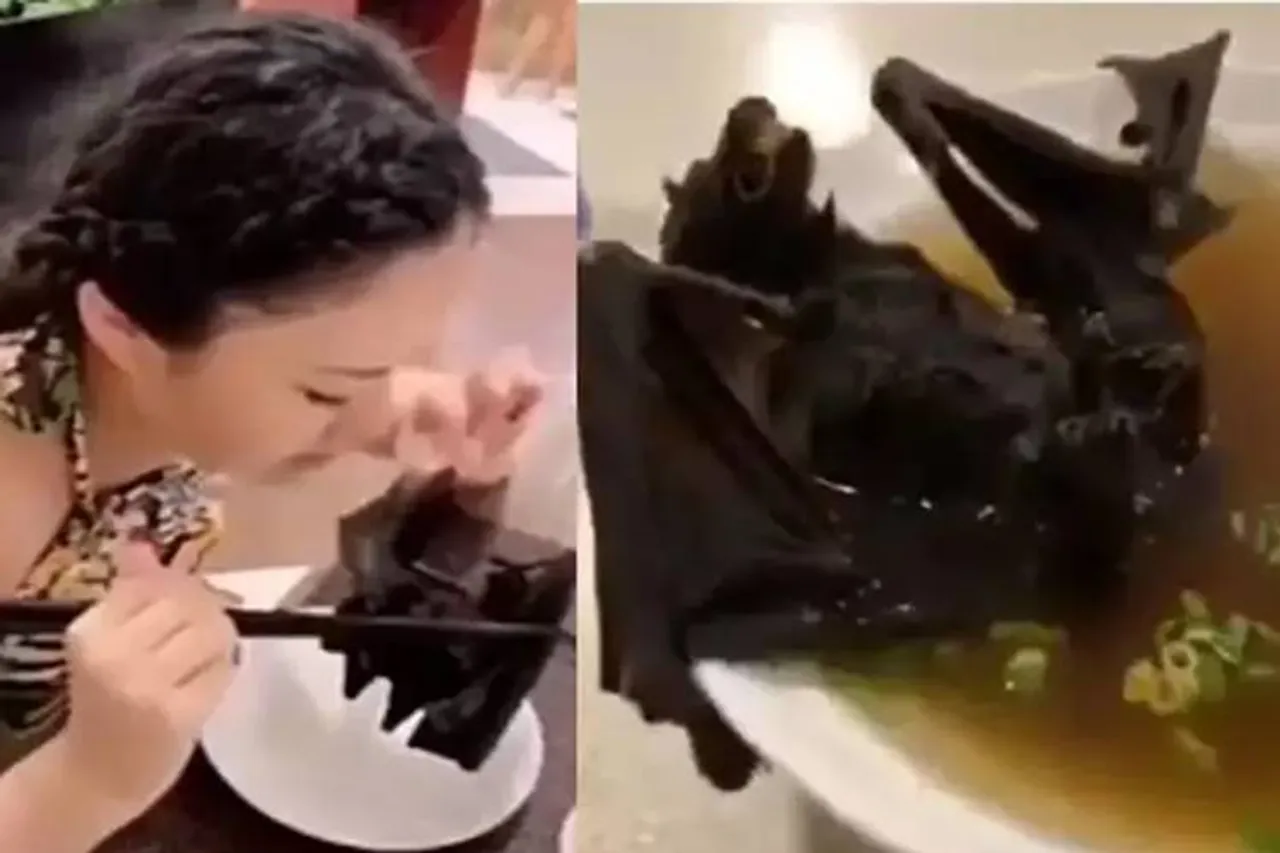 chinese women eating bat viral video corona virus - வவ்வால் சாப்பிடும் சீனப்பெண்! இருக்குற பீதியில இதெல்லாம் தேவையா (வைரல் வீடியோ)
