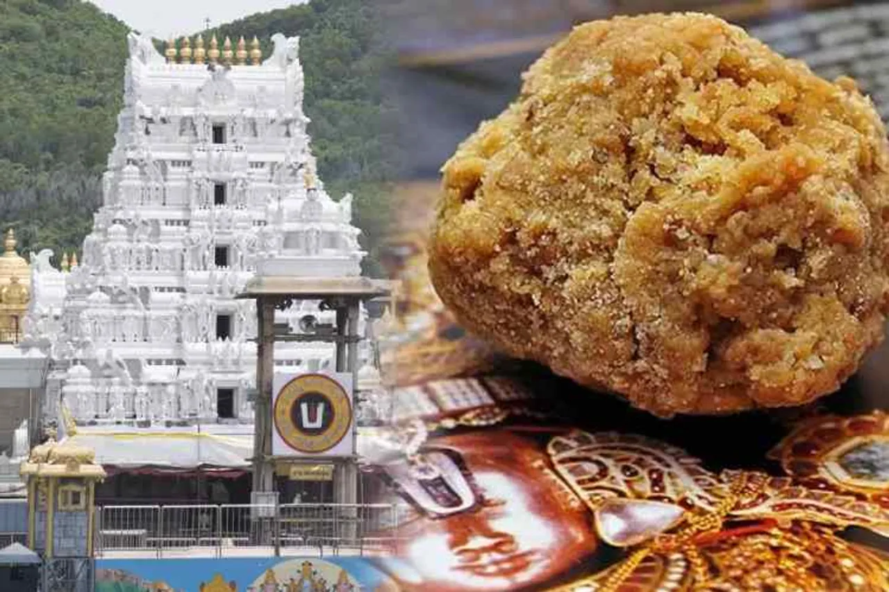 Tirupati, Tirupati News, Tirupati News In Tamil, Tirupati laddu, laddu prasadam, free laddu, TTD, Tirupati Chennai News, Tirumala Tirupati, Tirumala Tirupati Devasthanams