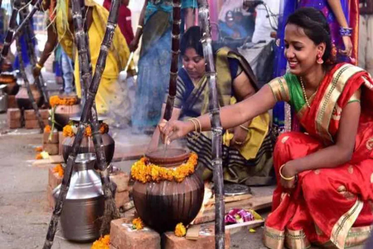 tamil nadu, chennai, madurai, pongal. pongal festival, tamilar festival, america, dubai. srilanka, harvest festival, makara sankaranti, celebration, foreign countries