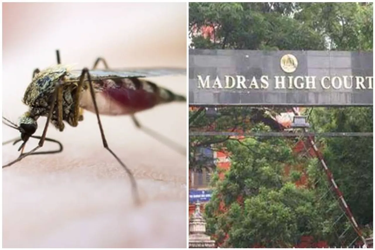 dengue, corona virus, chennai corporation action sufficient, டெங்கு, கொரோனா வைரஸ், சென்னை மாநகராட்சி, madras high court question