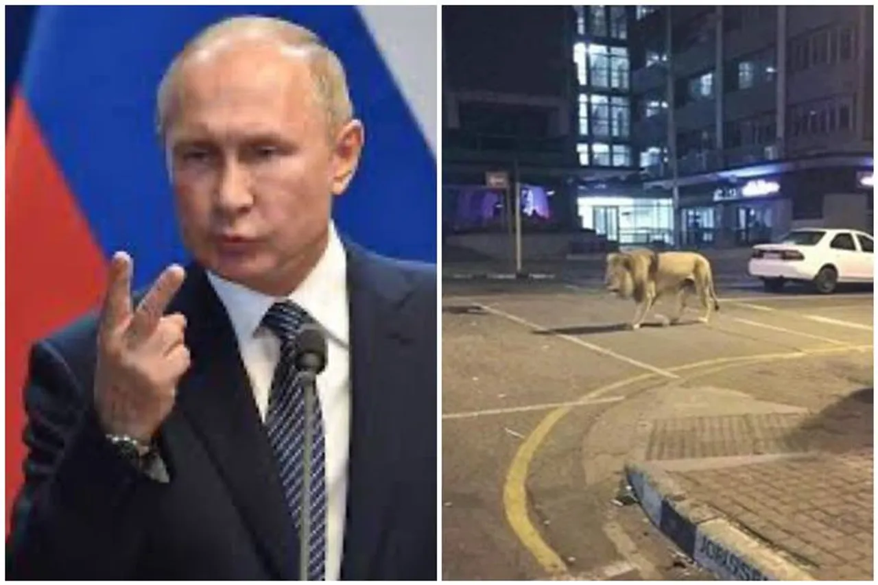 lions on Russian streets, Vladimir Putin has not ordered drop lions on russian streets,ரஷ்ய தெருக்களில் சிங்கங்களை விட்ட புதின், ரஷ்யா, கொரோனா வைரஸ், கொரோனா வதந்தி, ரஷ்யாவில் சிங்கங்கள், russia lions, russia streets lions, coronavirus, covid-19, corona fake news, coronavirus latest news, coronavirus latest updates