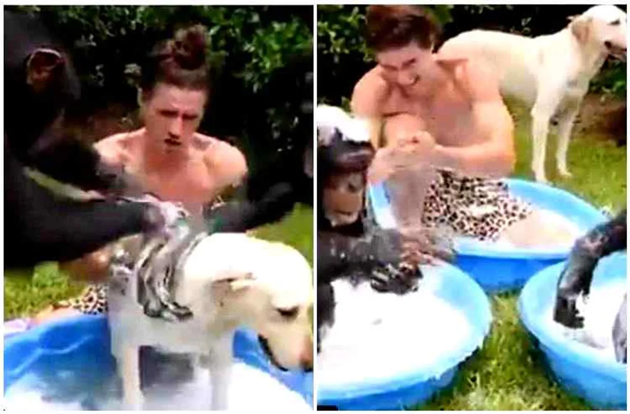 man dog monkeys bathing video viral, man monkeys bathing, viral video, மனிதன் நாய் குரங்குகள் குளியல் வீடியோ, வைரல் வீடியோ, சமத்துவ குளியல் வீடியோ, tamil video news, latest tamil video news, latest viral video news, trending video news