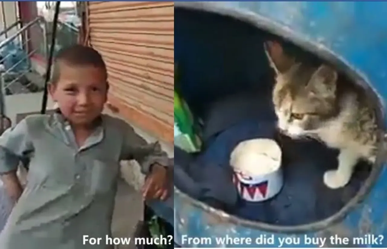 viral trending video of hungered kid buys milk and biscuit for a cat