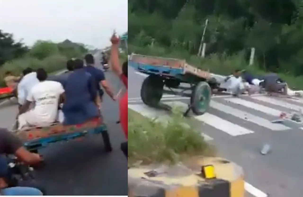 Twitter Viral Video of a group of people racing buffalo cart