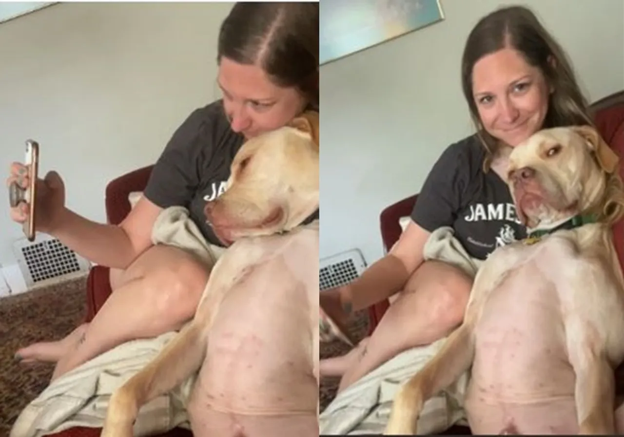 Hilarious Viral Video of dog stole his hooman's girl